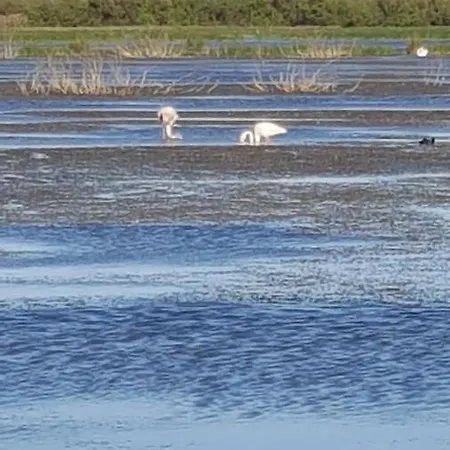 Дом отдыха Vacances En Petite Camargue *
